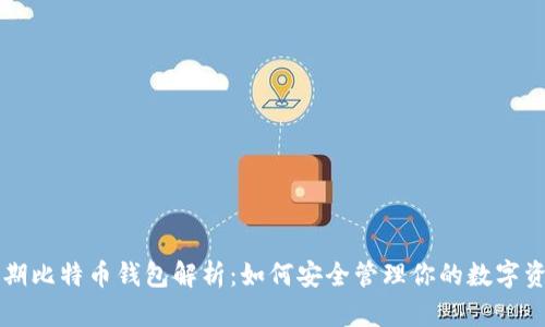 早期比特币钱包解析：如何安全管理你的数字资产